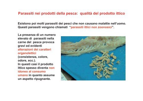 I parassiti nei prodotti della pesca - Azienda per i Servizi Sanitari n ...