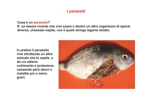 I parassiti nei prodotti della pesca - Azienda per i Servizi Sanitari n ...