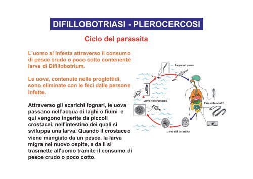 I parassiti nei prodotti della pesca - Azienda per i Servizi Sanitari n ...