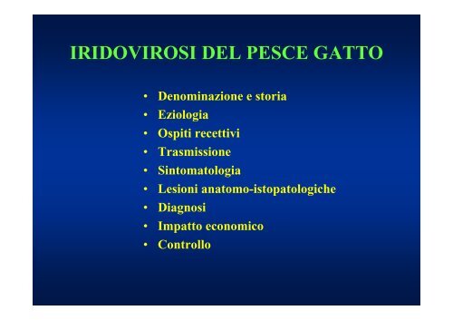 IRIDOVIROSI DEL PESCE GATTO