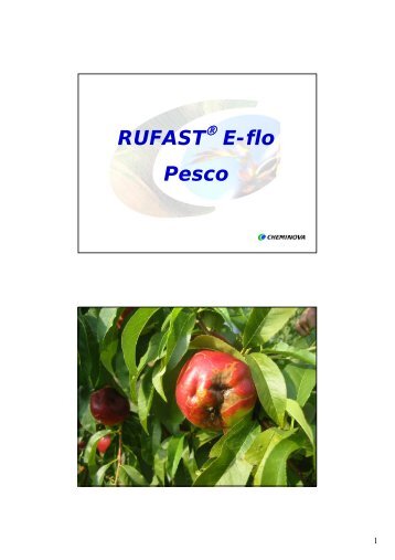 RUFAST E-flo Pesco - Arsia