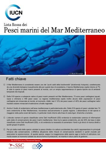 Lista Rossa dei Pesci marini del Mar Mediterraneo - IUCN