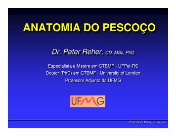 (Microsoft PowerPoint - 06 - Pesco\347o.ppt) - ICB - UFMG