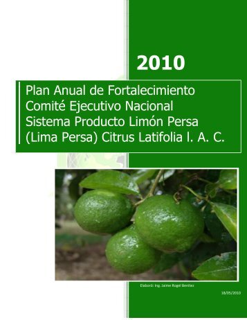 Plan Anual de Fortalecimiento del Sistema Producto Limón Persa