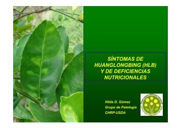 Sintomas de HLB Y de Deficiencias Nutricionales