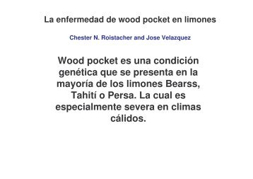 La enfermedad de wood pocket en limones - Concitver