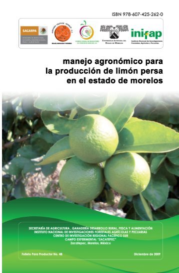 Producción de Limón Persa en Morelos - por que lo importante no ...