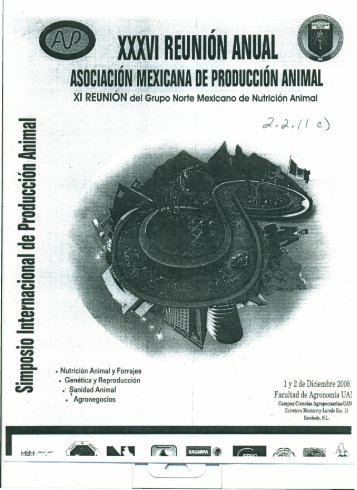 ICB-03-Comparacion de tipos de bolsa-YCastillo