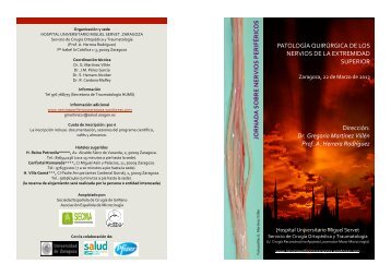 programa nerv perif