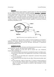 C3 - UVT-CBG-Biologie