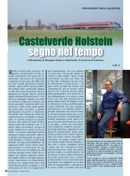 Castelverde Holstein segno nel tempo - Anafi