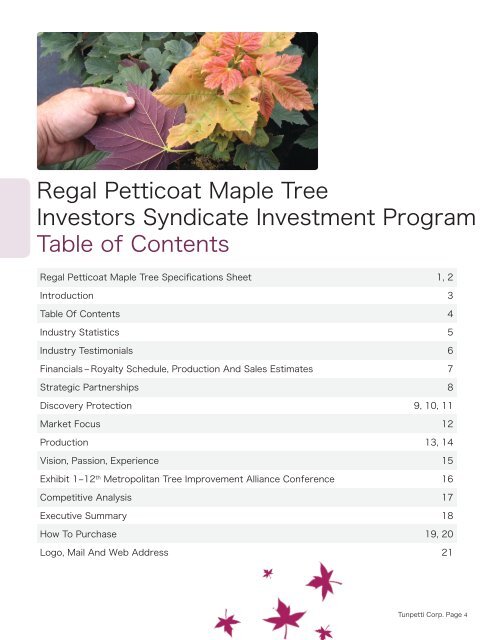 Regal Petticoat Maple Information