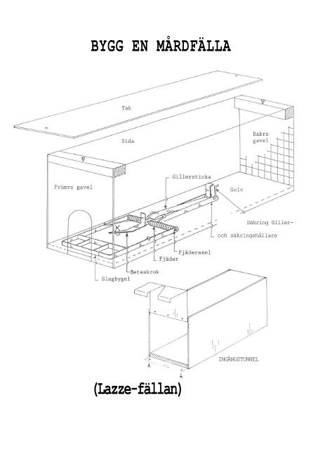 BYGG EN MÅRDFÄLLA (Lazze-fällan)