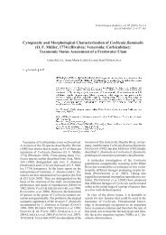 Cytogenetic and morphological characterization of Corbicula ...
