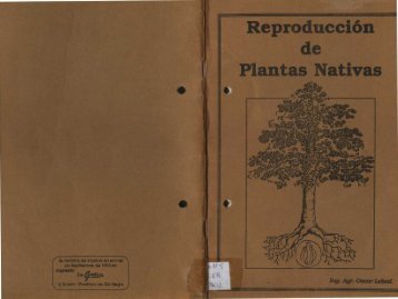 Lebed Oscar – Reproducción de Plantas Nativas - Cultivos Urbanos