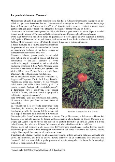 La peonia del monte Carnara - Blog di Annibale Formica