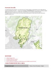 Scarica la scheda dell'area in pdf! - Provincia di Firenze