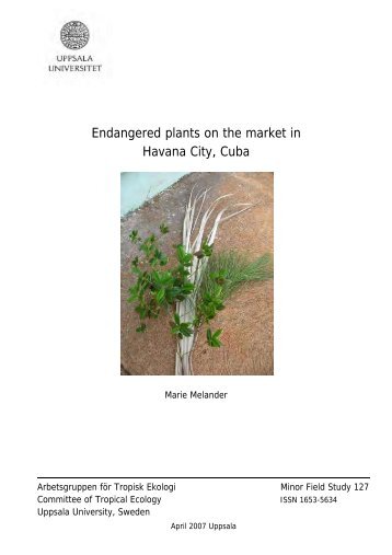Endangred plants on the market in Havana City, Cuba