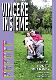 vincere insieme - uildm torino