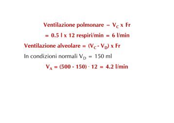 Ventilazione e Perfusione