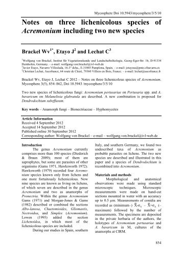 Notes on three lichenicolous species of Acremonium including two