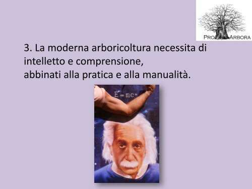 La moderna arboricoltura a salvaguardia dei ... - Pro Arbora