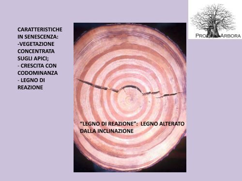 La moderna arboricoltura a salvaguardia dei ... - Pro Arbora