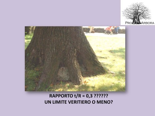 La moderna arboricoltura a salvaguardia dei ... - Pro Arbora