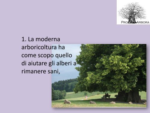 La moderna arboricoltura a salvaguardia dei ... - Pro Arbora