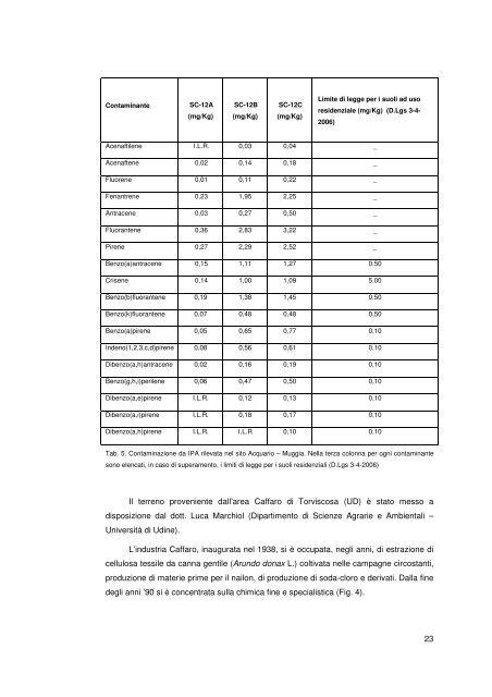 Tesi dottorato Annabella Russo.pdf - OpenstarTs - Università degli ...