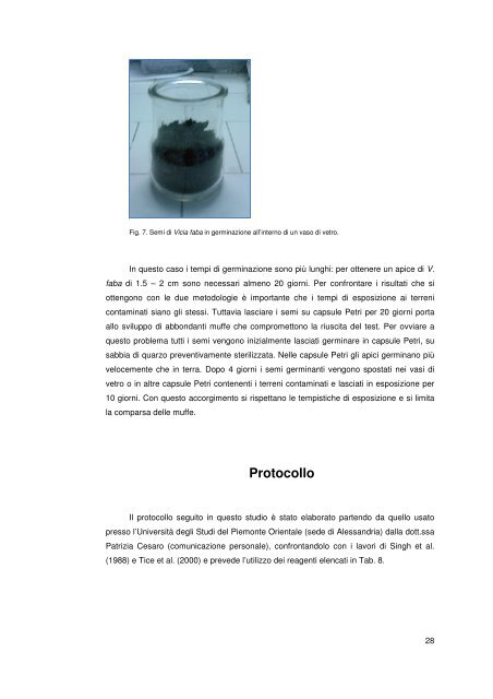 Tesi dottorato Annabella Russo.pdf - OpenstarTs - Università degli ...