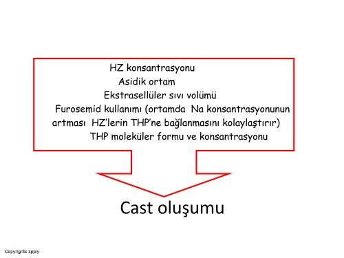 Nefroloji - Lenfoma Myeloma Derneği