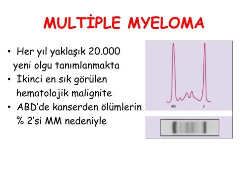 Nefroloji - Lenfoma Myeloma Derneği