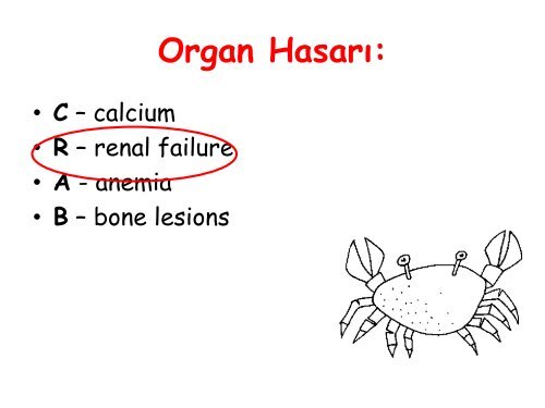 Nefroloji - Lenfoma Myeloma Derneği