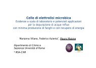 Celle di elettrolisi microbica - IRSA - Cnr