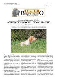 ANTEO DEI SANCHI… - Bracco Italiano