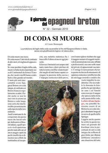 giornale del epagneul breton