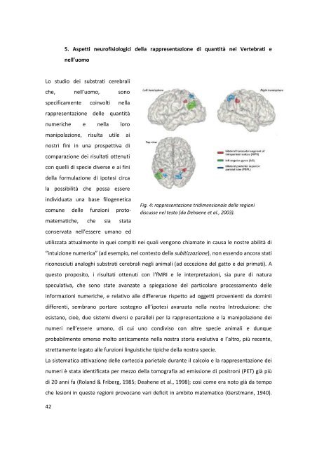 TESI def.12.pdf - OpenstarTs - Università degli Studi di Trieste