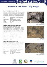 Rodents in the Mount Lofty Ranges - Communitywebs.org