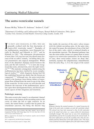 The aorto-ventricular tunnels - Cambridge Journals