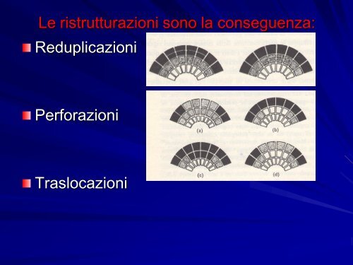 Chimere e coltura in vitro - gruppove.net