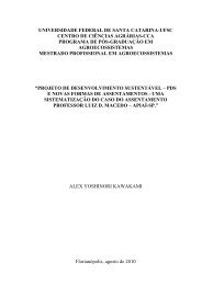 dissertacao versão final - Repositório Institucional da UFSC