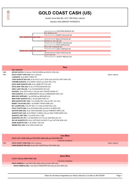 Fiche de GOLD COAST CASH(US) - Haras-nationaux