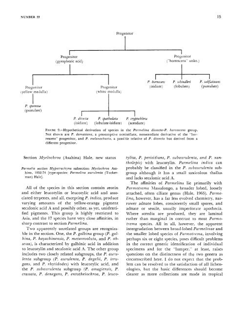 A Monograph of the Lichen Genus Parmelina Hale - Smithsonian ...