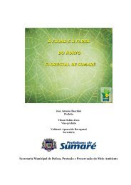 A Força do Horto Florestal de Sumaré - Prefeitura Municipal de ...