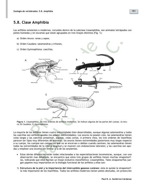 5.8. Clase Amphibia - Zoología de vertebrados
