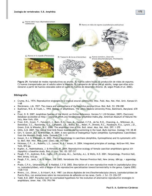 5.8. Clase Amphibia - Zoología de vertebrados