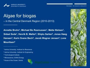 Algae for biogas in Central Denmark Region - Nordic Innovation