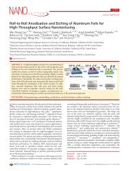 Roll-to-Roll Anodization and Etching of Aluminum Foils for High ...