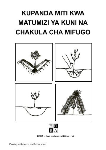 Kupanda Miti Kwa Matumizi Ya Kuni Na chakula - Garden Organic